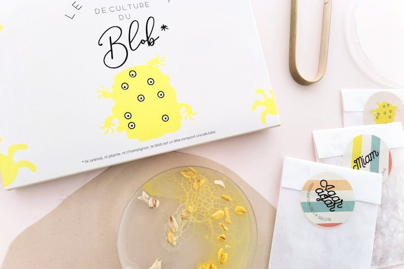 Kit culture de Blob